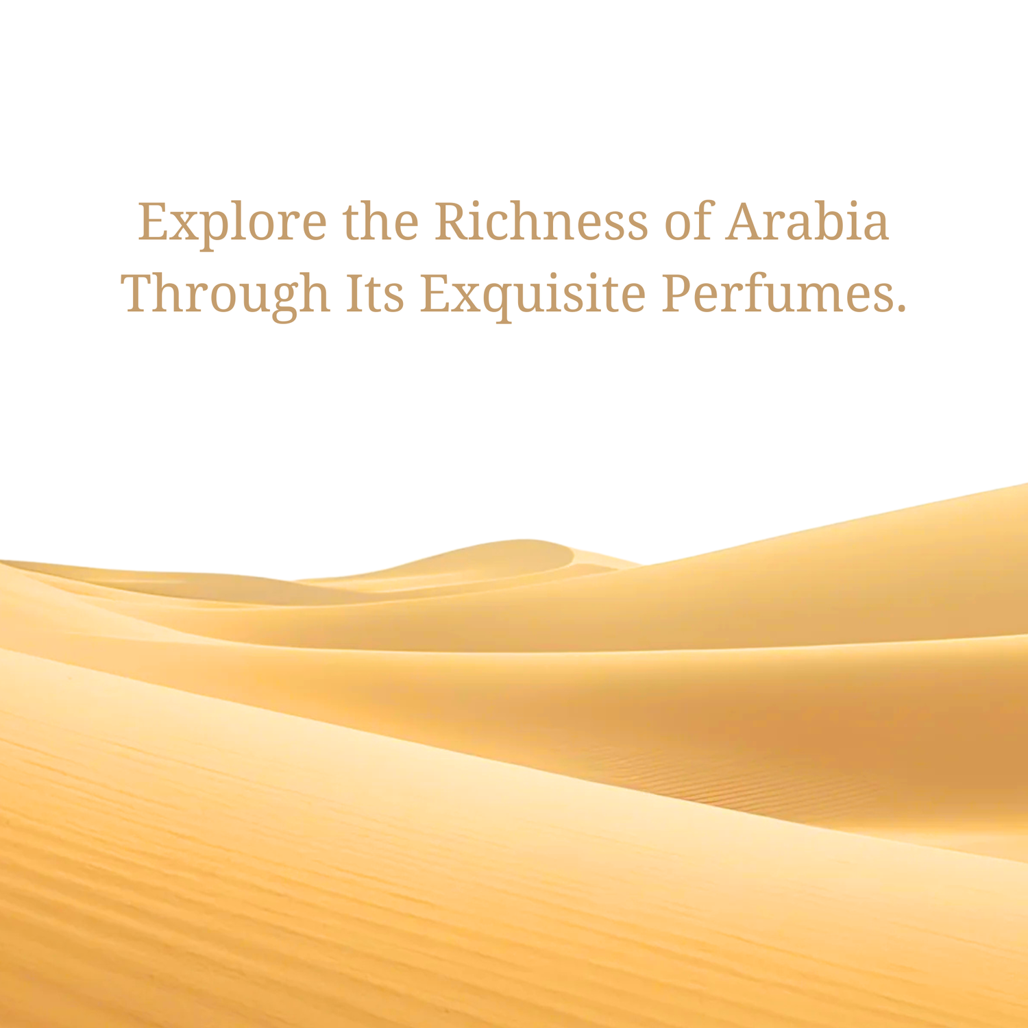 Arabia Collection